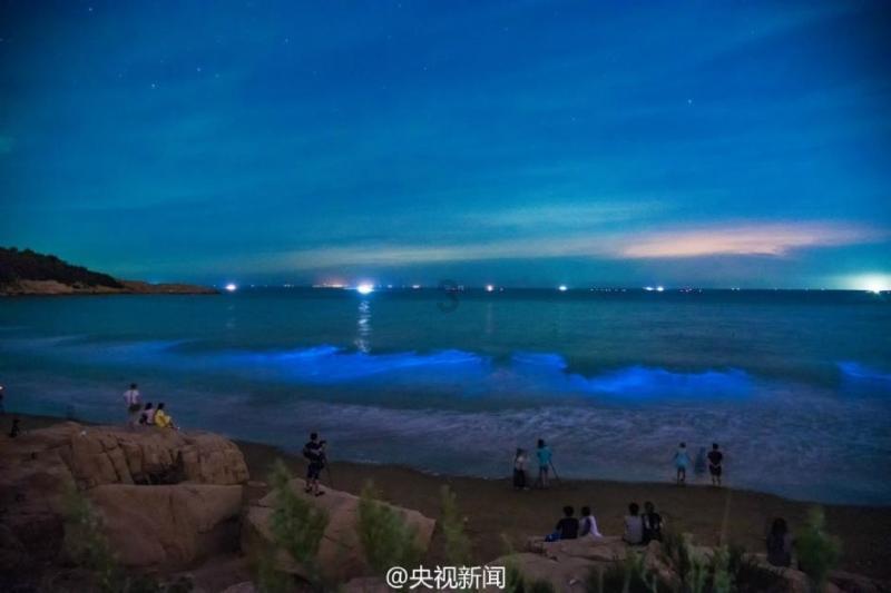 月光影视