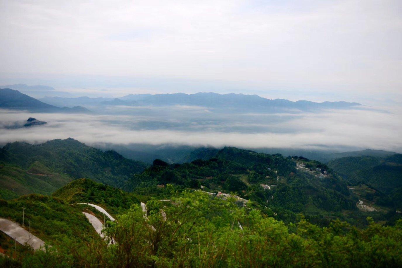 沪江开心词场